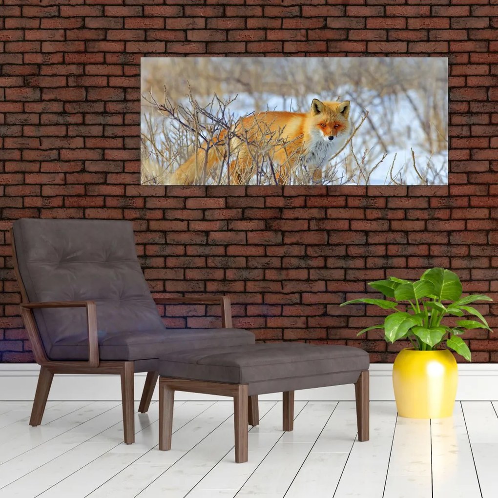 Tablou - Vulpe (120x50 cm)