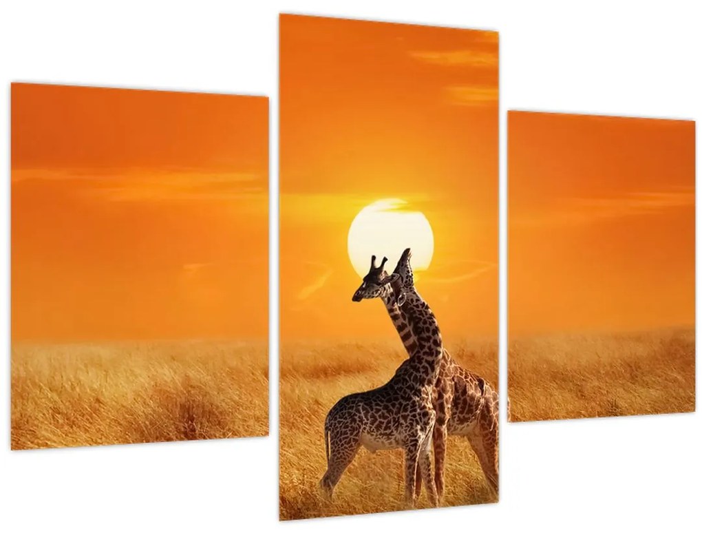 Tablou - Girafe în Parcul Național Serengeti (90x60 cm)