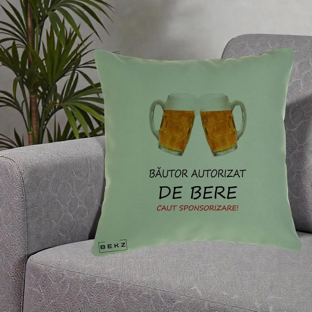 Perna Decorativa Bautor Autorizat de Bere, 40x40 cm, Verde, Husa Detasabila, Perna Inclusa, BEKZ®