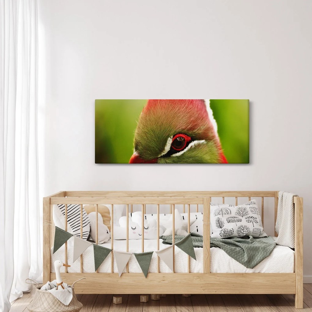 Tablou cu pasărea colorată (120x50 cm)