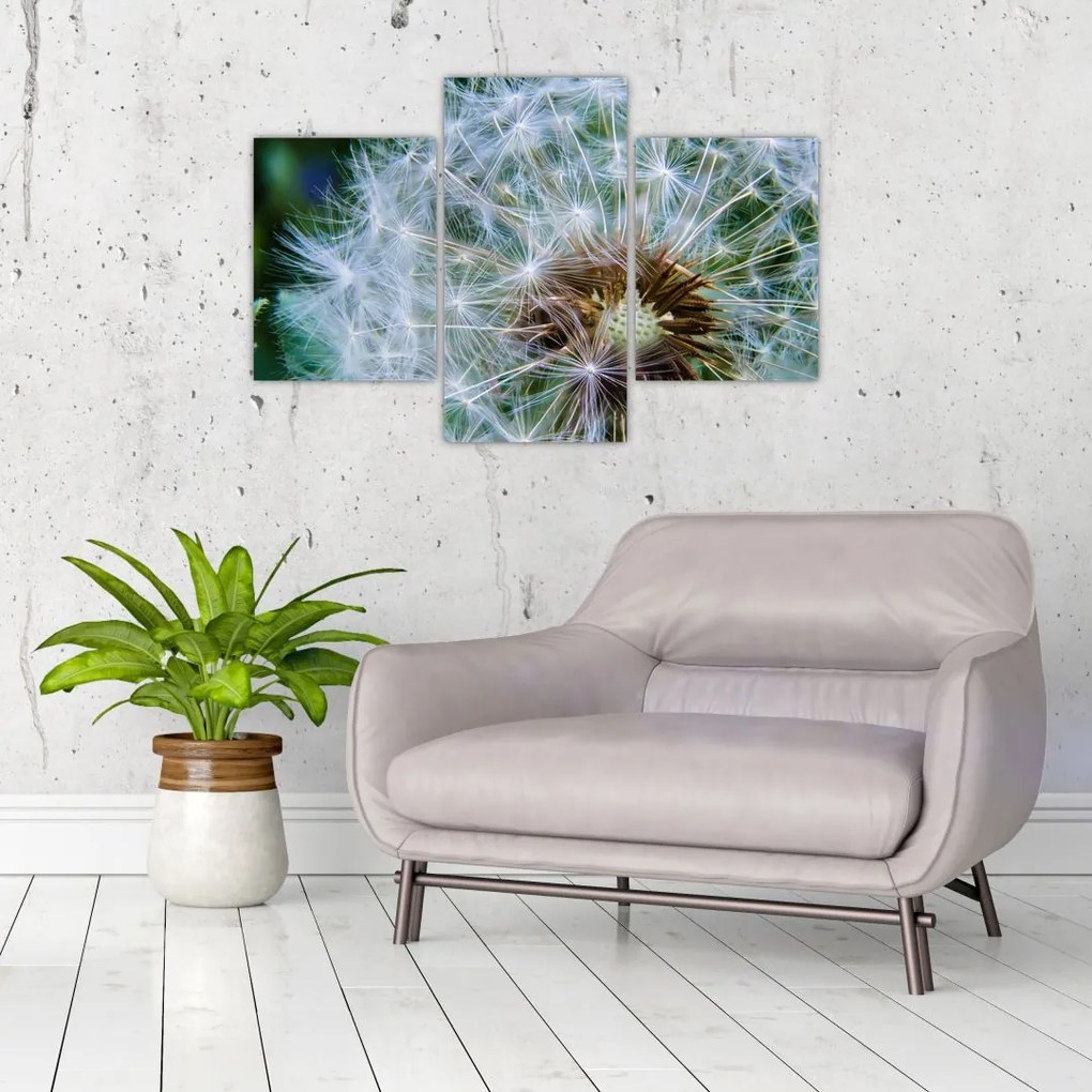 Tabloul cu păpădie desflorit (90x60 cm)