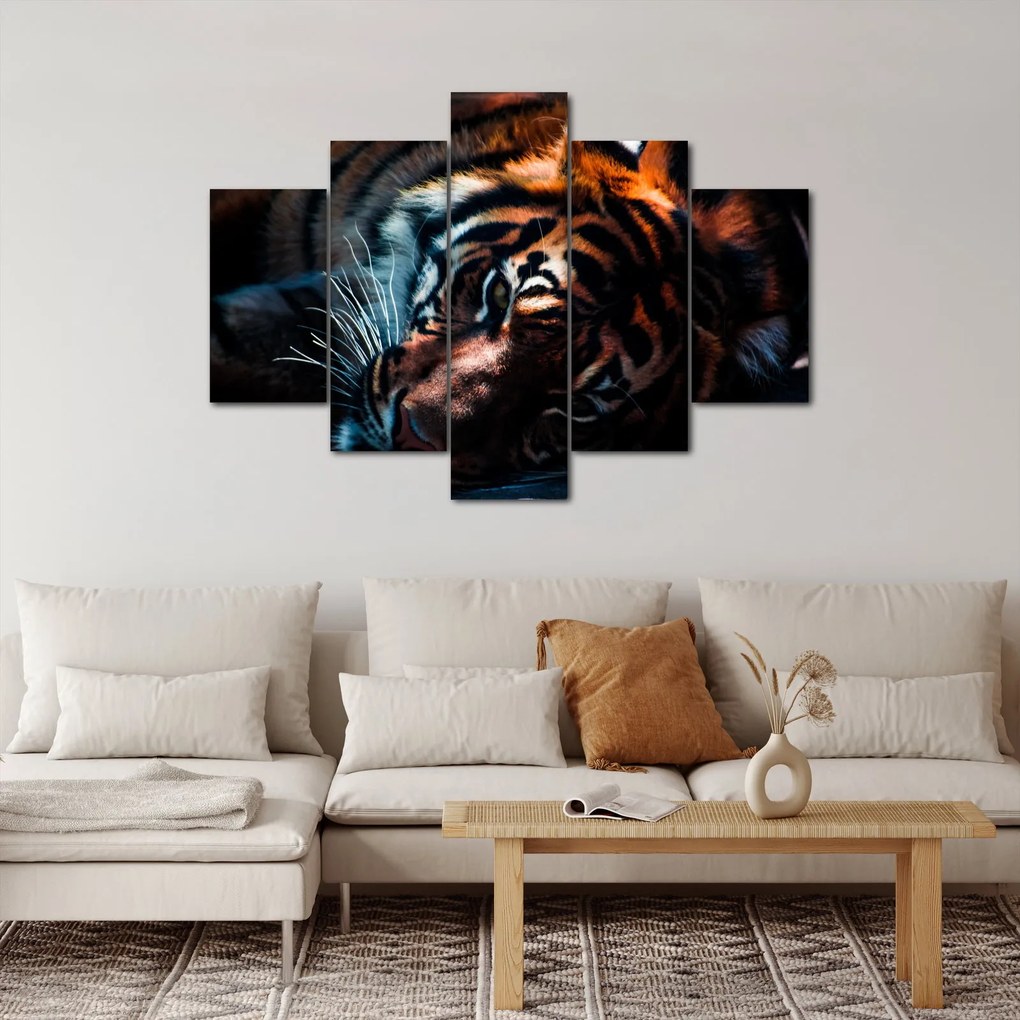 Tablou cu tigrul dormind (150x105 cm)