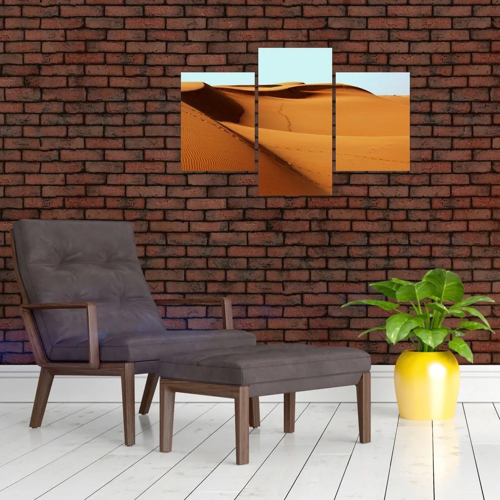 Tablou - Pași în deșert (90x60 cm)