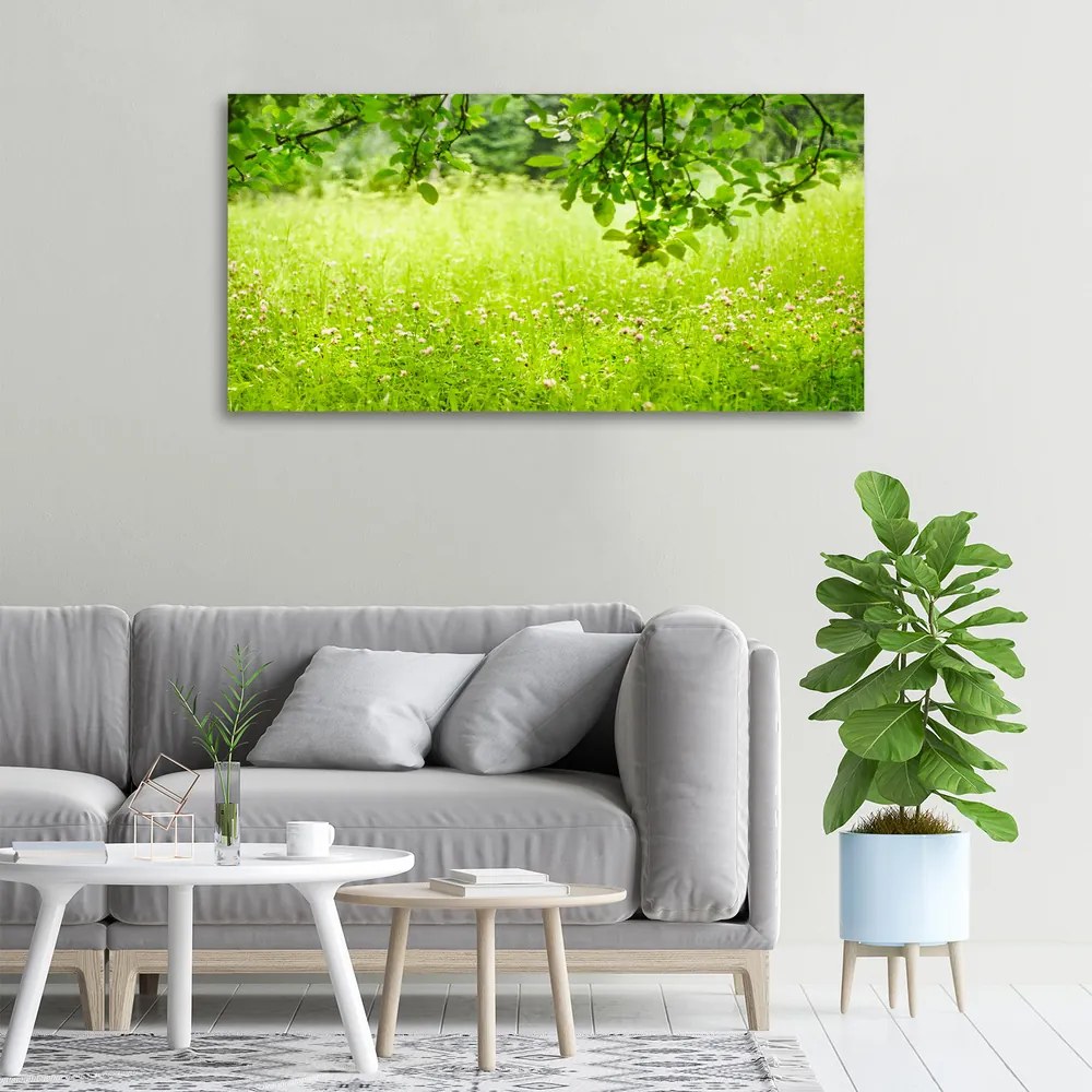 Tablou pe pânză canvas Pajiște verde