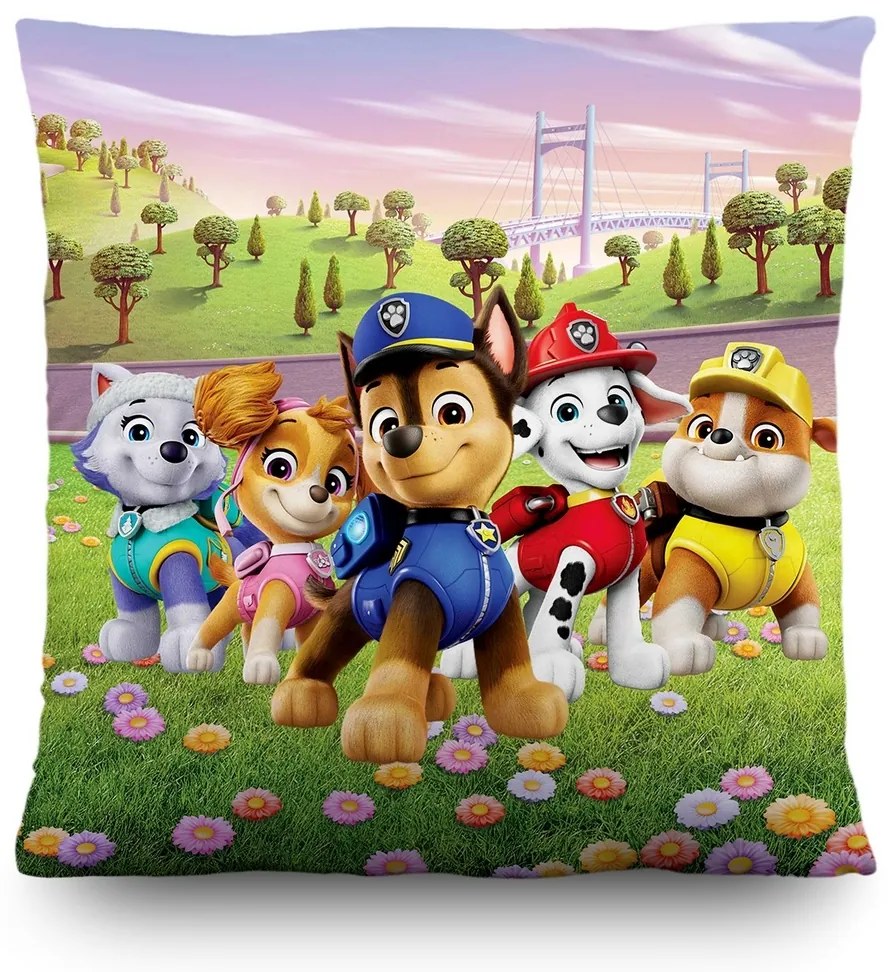 Perna pentru copii Paw Patrol, 40 x 40 cm