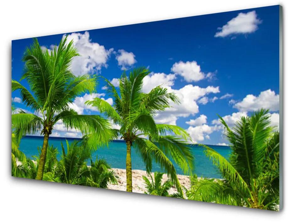 Tablouri acrilice Marea Palm Copaci Peisaj Verde Albastru