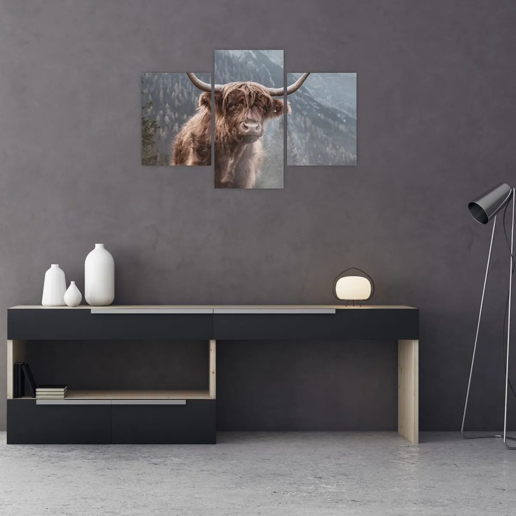 Tablou - Vaca Highlander (90x60 cm)