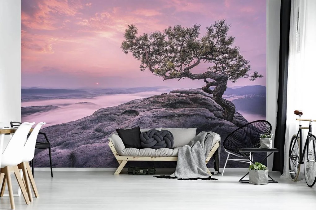 Fototapet - Copac pe stânci (152,5x104 cm)