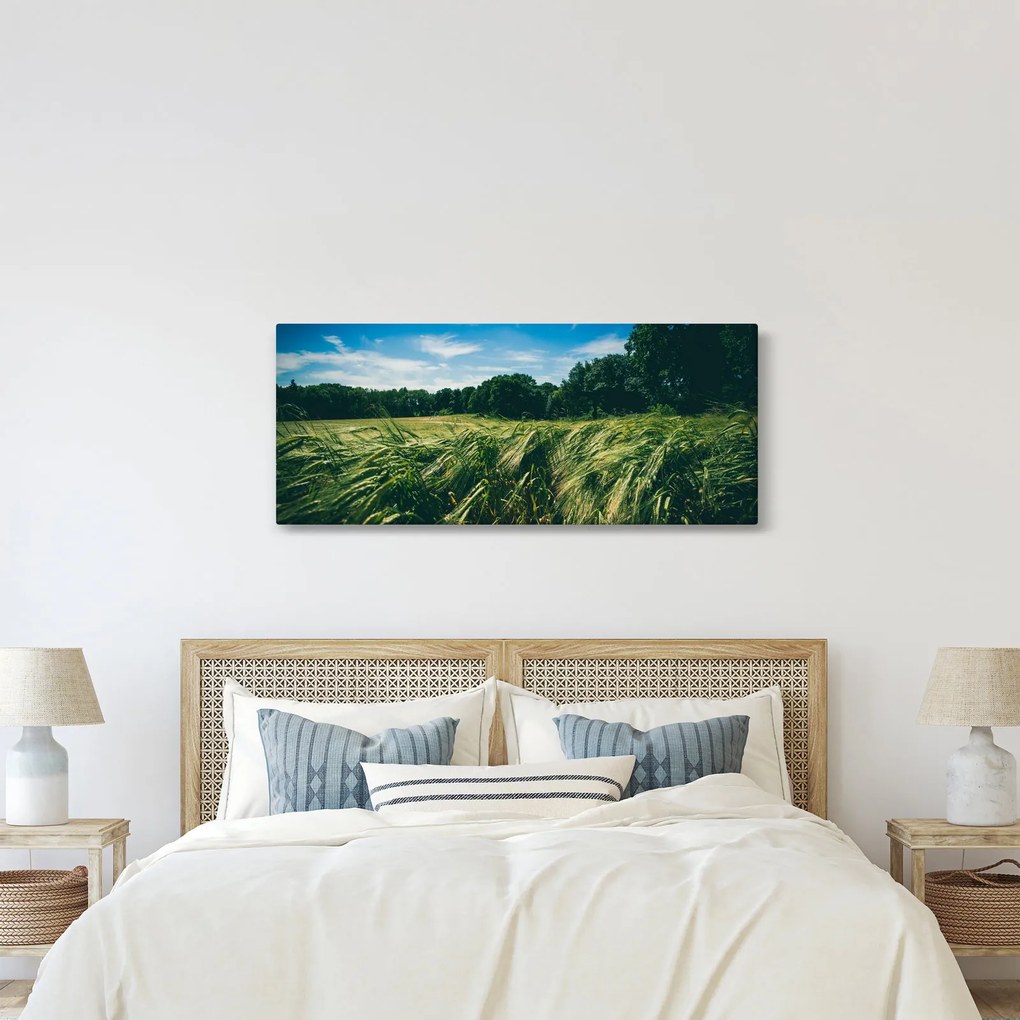 Tablou cu linca și pădure (120x50 cm)