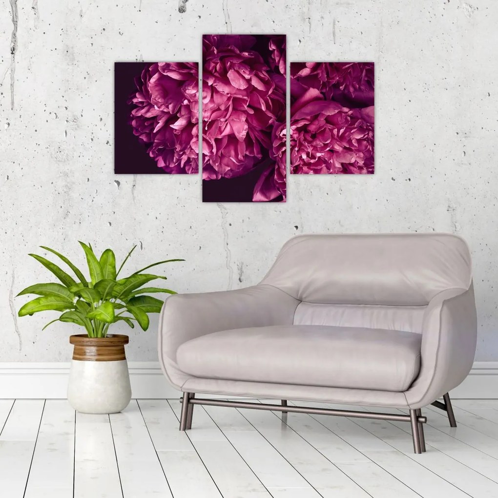 Tablou - Floarea bujorului (90x60 cm)