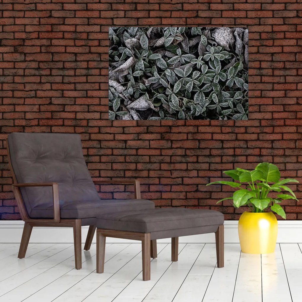 Tablou - Plante înghețate (90x60 cm)