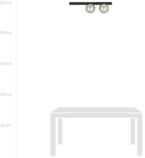 Plafonieră FIT 2xE14/10W/230V negru