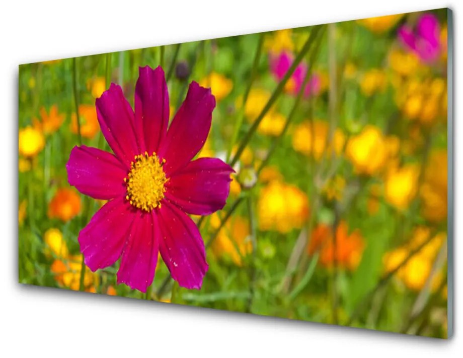 Tablouri acrilice Flower Floral Galben Roșu