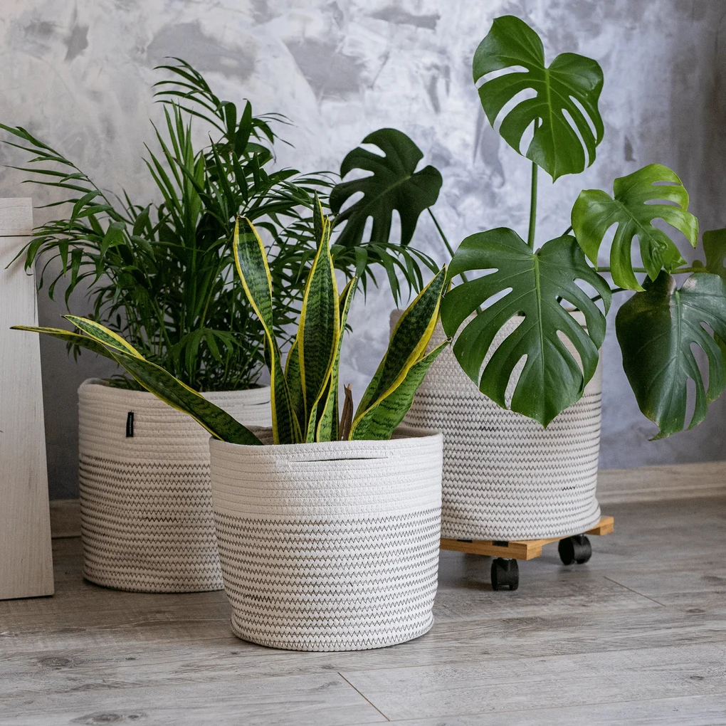TEMPO-KONDELA MEZON, huse pentru ghivece, set de 3, alb/ model