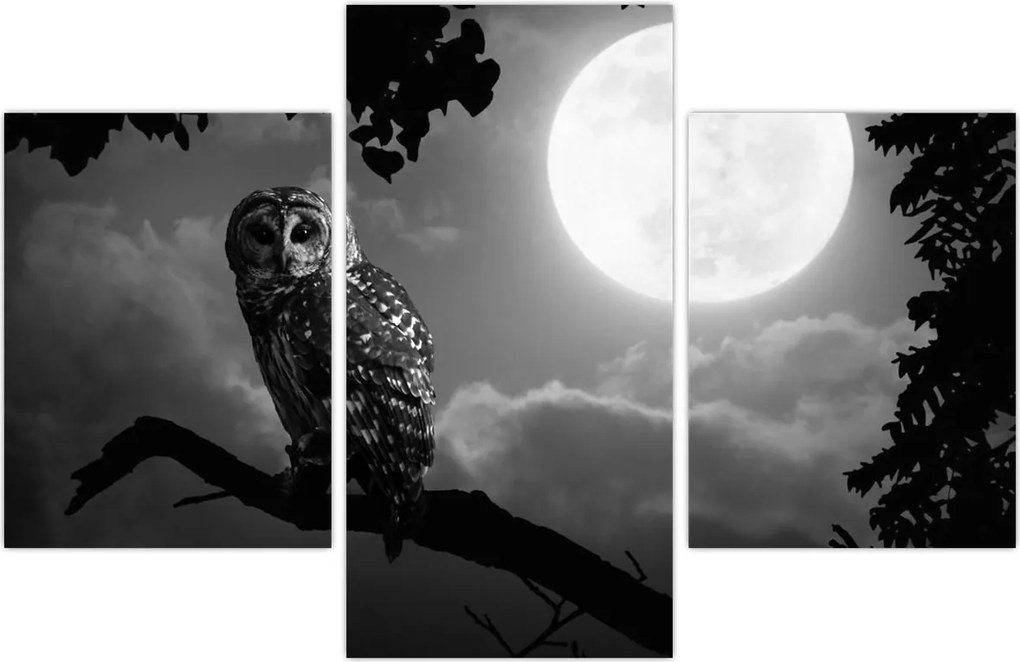 Tablou - Bufniță de noapte, alb și negru (90x60 cm)