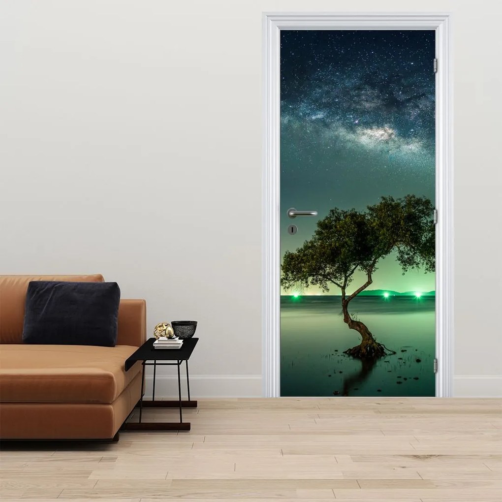 Fototapet pentru ușă - Cer de noapte (95x205cm)