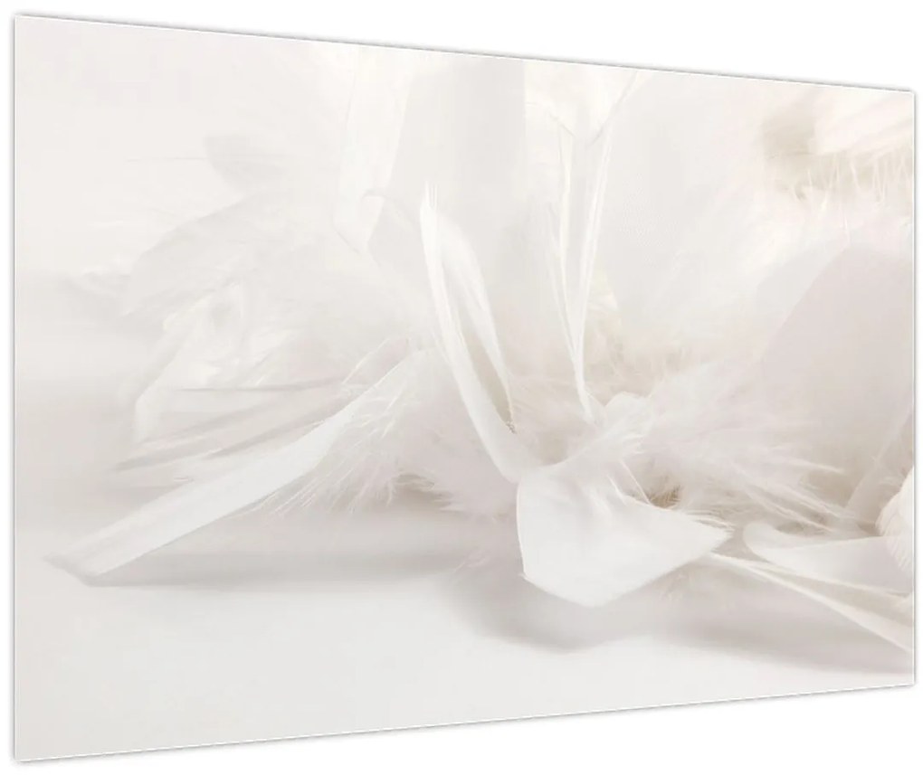 Tablou - Pană (90x60 cm)