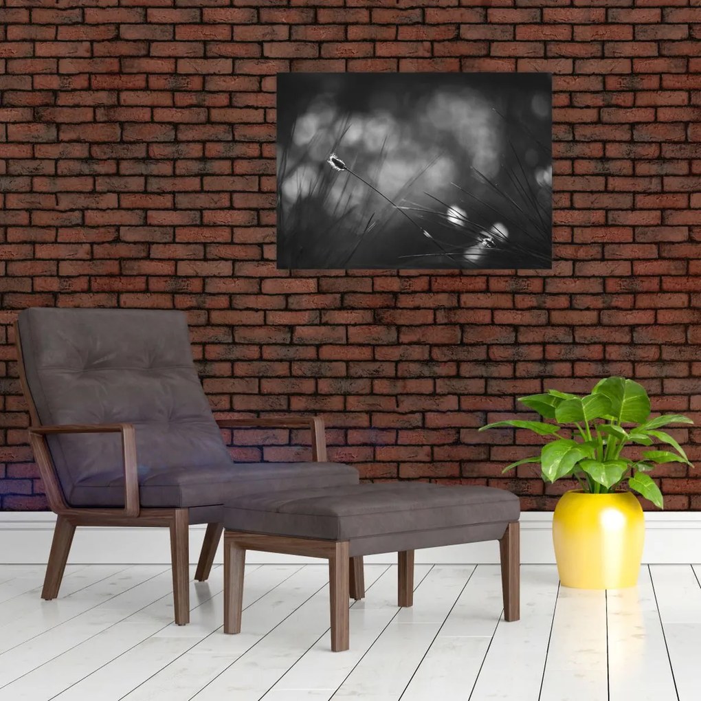 Tablou pe sticlă - Iarbă de pajiște (70x50 cm)