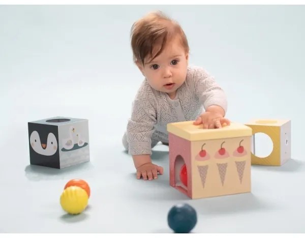 Set interactiv de joacă Polul Nord Taf Toys