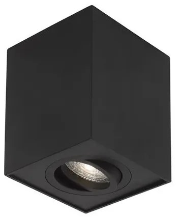 Spot aplicat directionabil RENDE negru NVL-820203