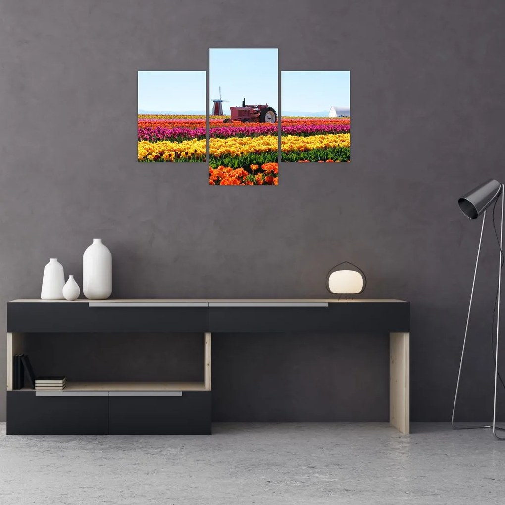 Tablou cu farma de lalele (90x60 cm)