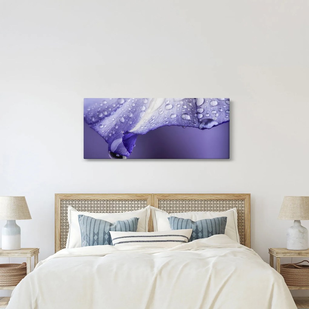 Tablou - Petală cu picături (120x50 cm)