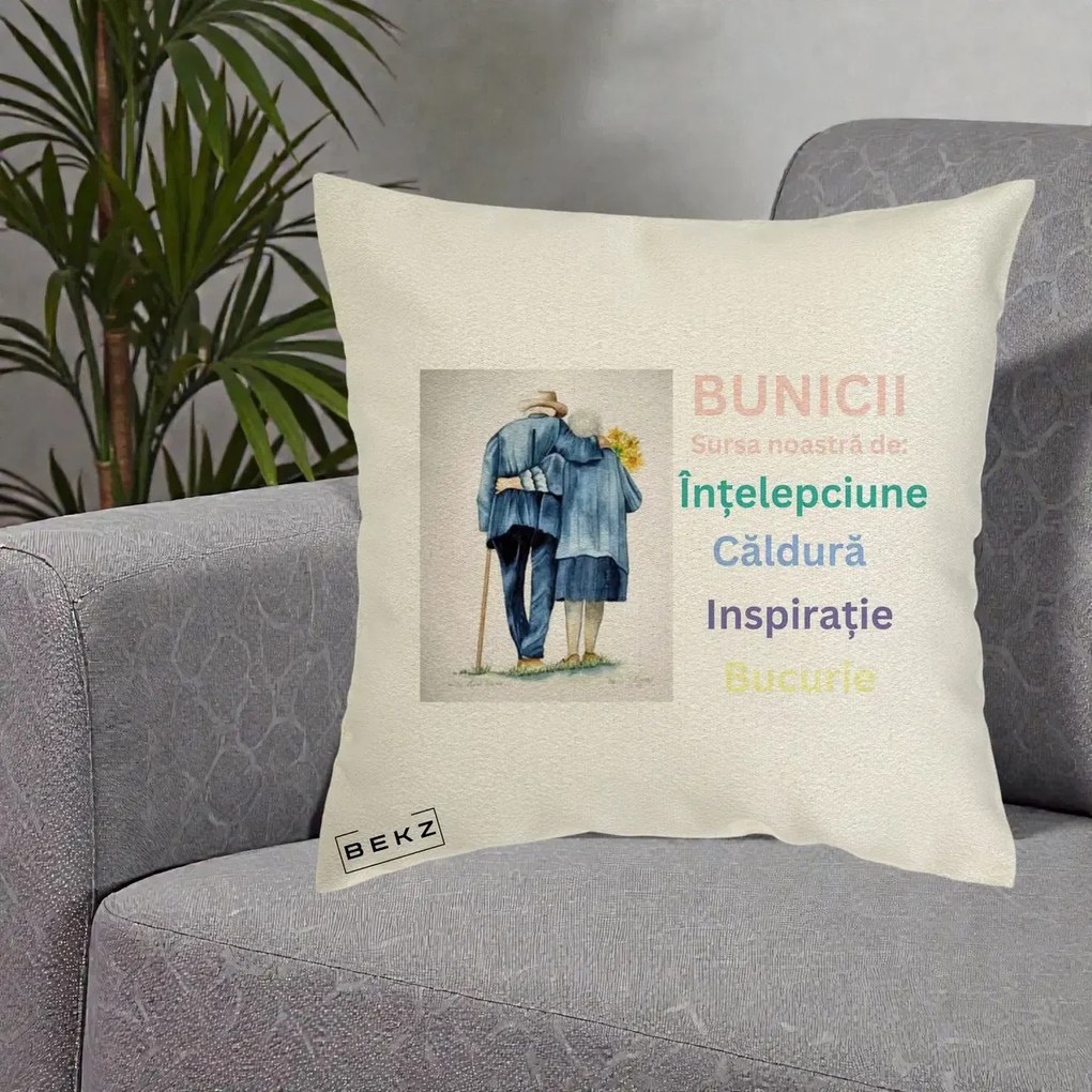 Cadou pentru Bunici - Perna Personalizata Bunicii Sursa Intelepciune Caldura Acuarela, 40x40 cm, Ecru, Husa Detasabila, Perna Inclusa, BEKZ®