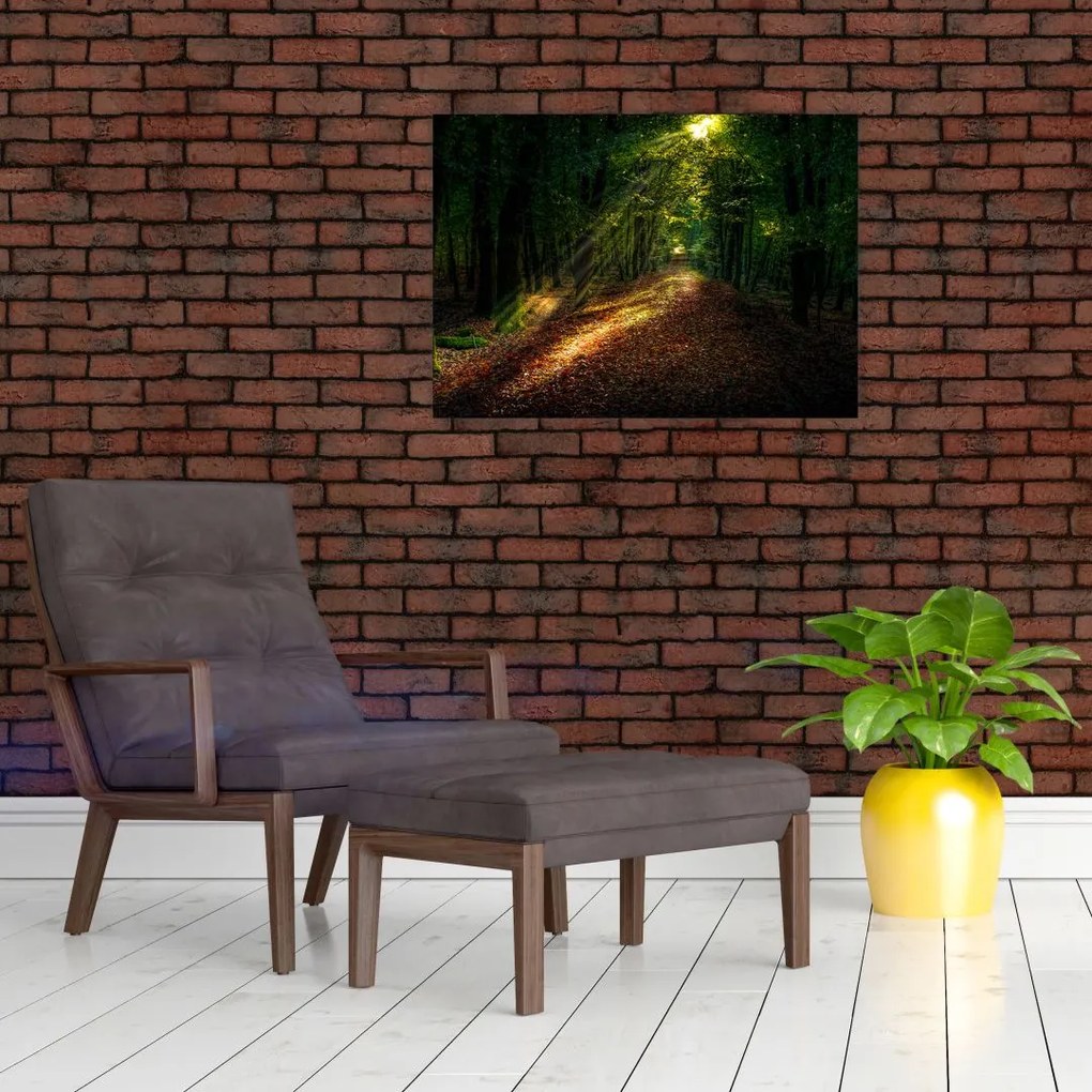 Tablou pe sticlă cu poteca prin pădure (70x50 cm)