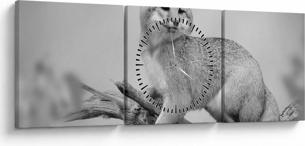 Tablou - Vulpe gri (cu ceas) (90x30 cm)