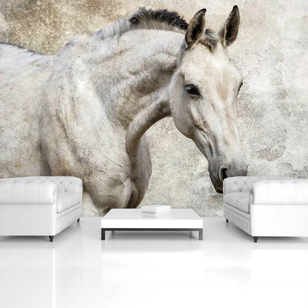 Fototapet - Cal (152,5x104 cm)