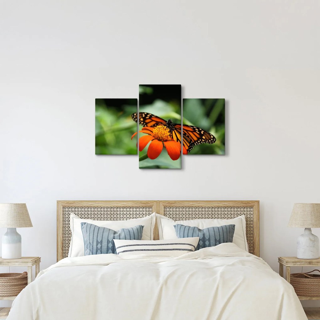 Tablou cu fluture pe floare (90x60 cm)