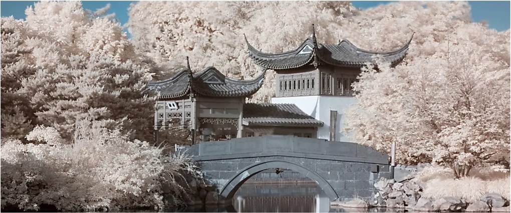 Tablou - pomi înfloriți în Asia (120x50 cm)