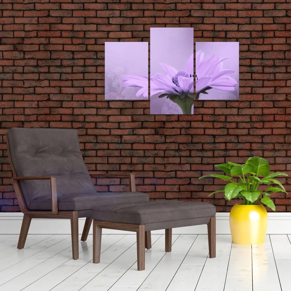 Tablou - Flori mov (90x60 cm)