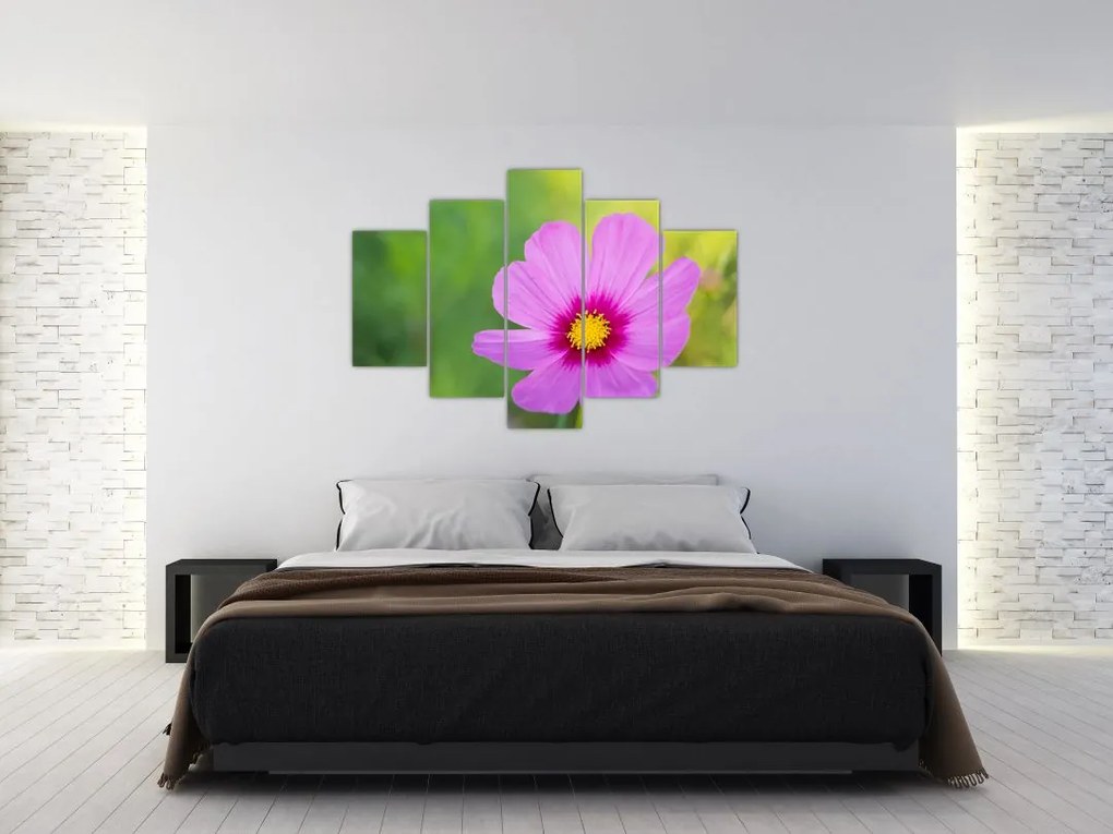 Tablou - floare de câmp (150x105 cm)