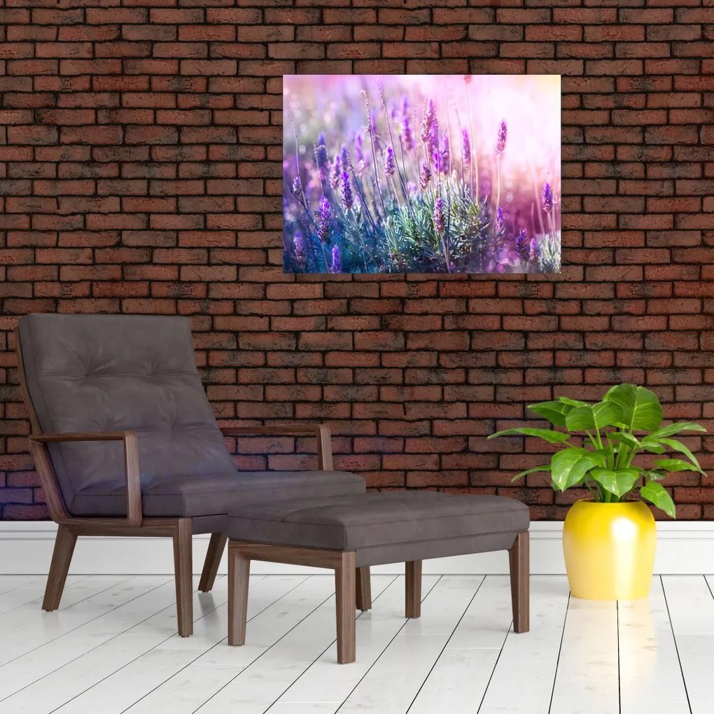 Tablou pe sticlă - Lavandă în strălucirea soarelui (70x50 cm)