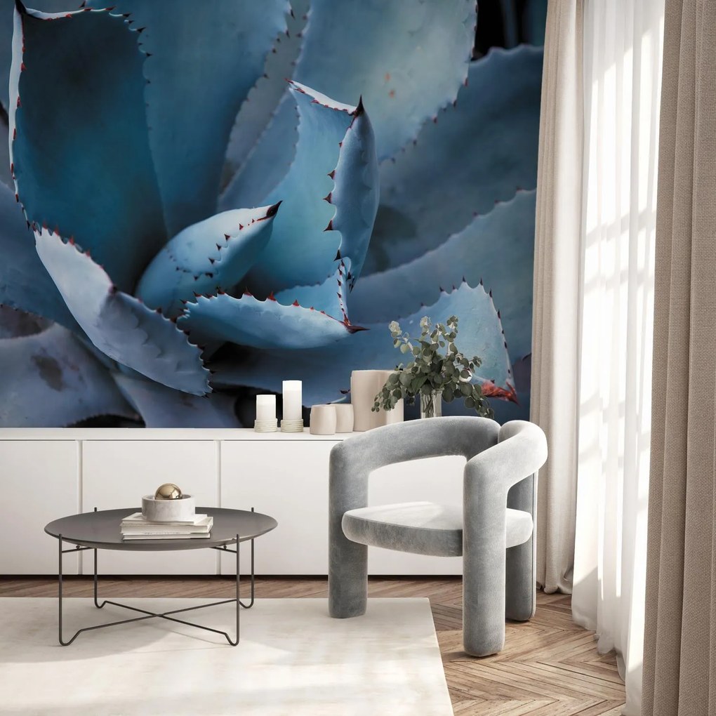 Fototapet - Agave (147x102 cm)
