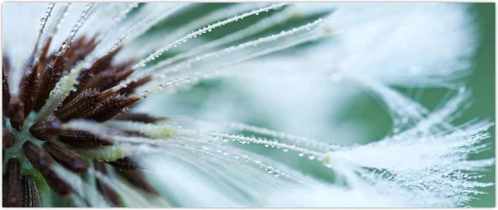 Tablou - Detaliu floare (120x50 cm)