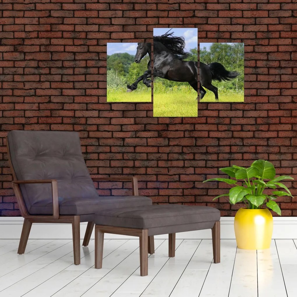 Tablou - Cal cu o coamă curgătoare (90x60 cm)