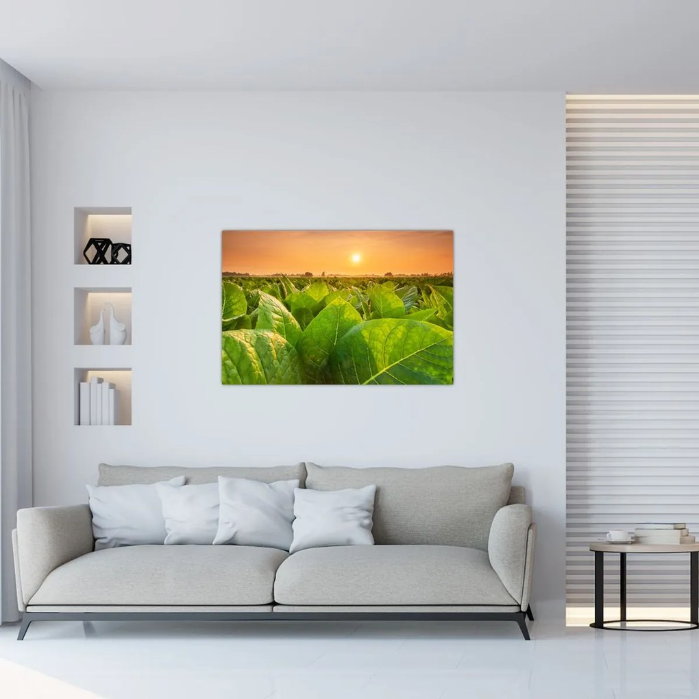 Tablou - Câmp (90x60 cm)