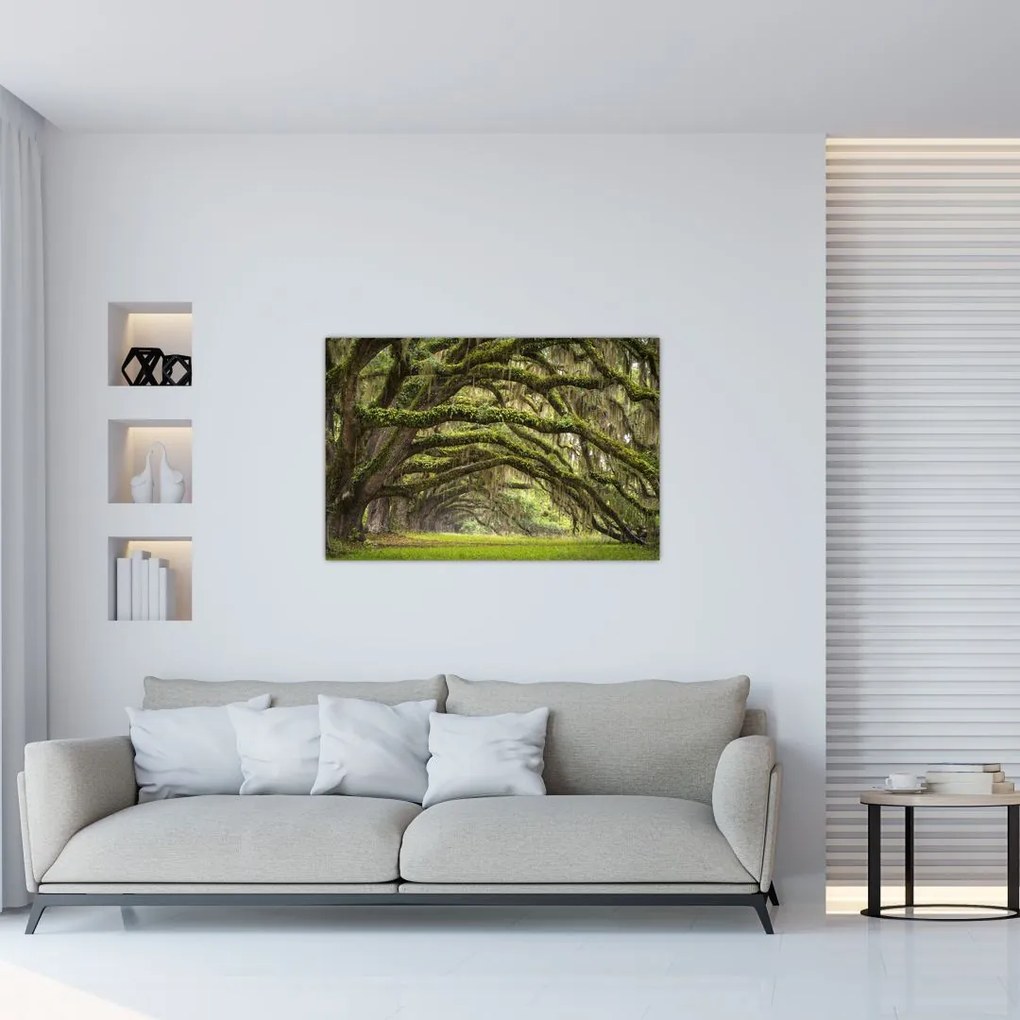 Tablou - Oaks Avenue, Charleston, Carolina de Sud, SUA (90x60 cm)