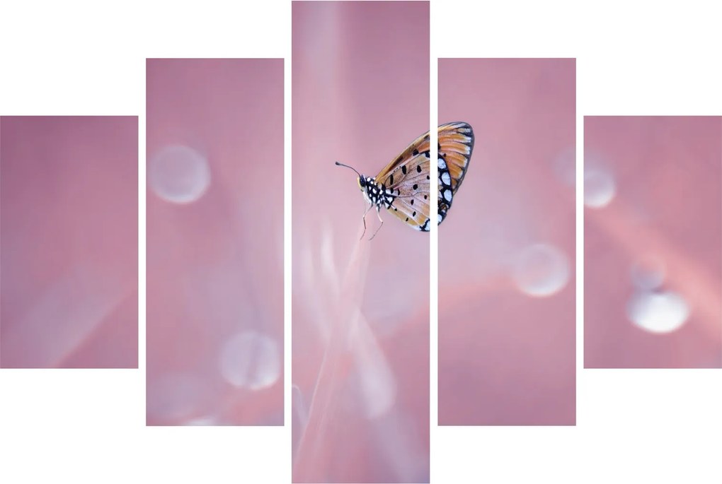 Tablou - Fluturele (150x105 cm)