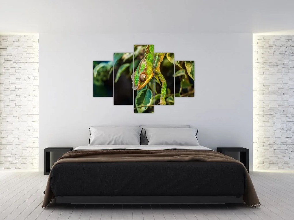 Tablou cu cameleon (150x105 cm)