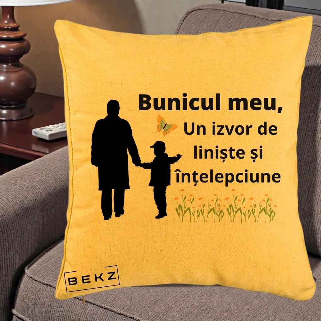 Cadou pentru Bunic - Perna Personalizata Bunicul Meu Izvor de Liniste cu Fluture si Baietel, 40x40 cm, Galben, Husa Detasabila, Perna Inclusa, BEKZ®