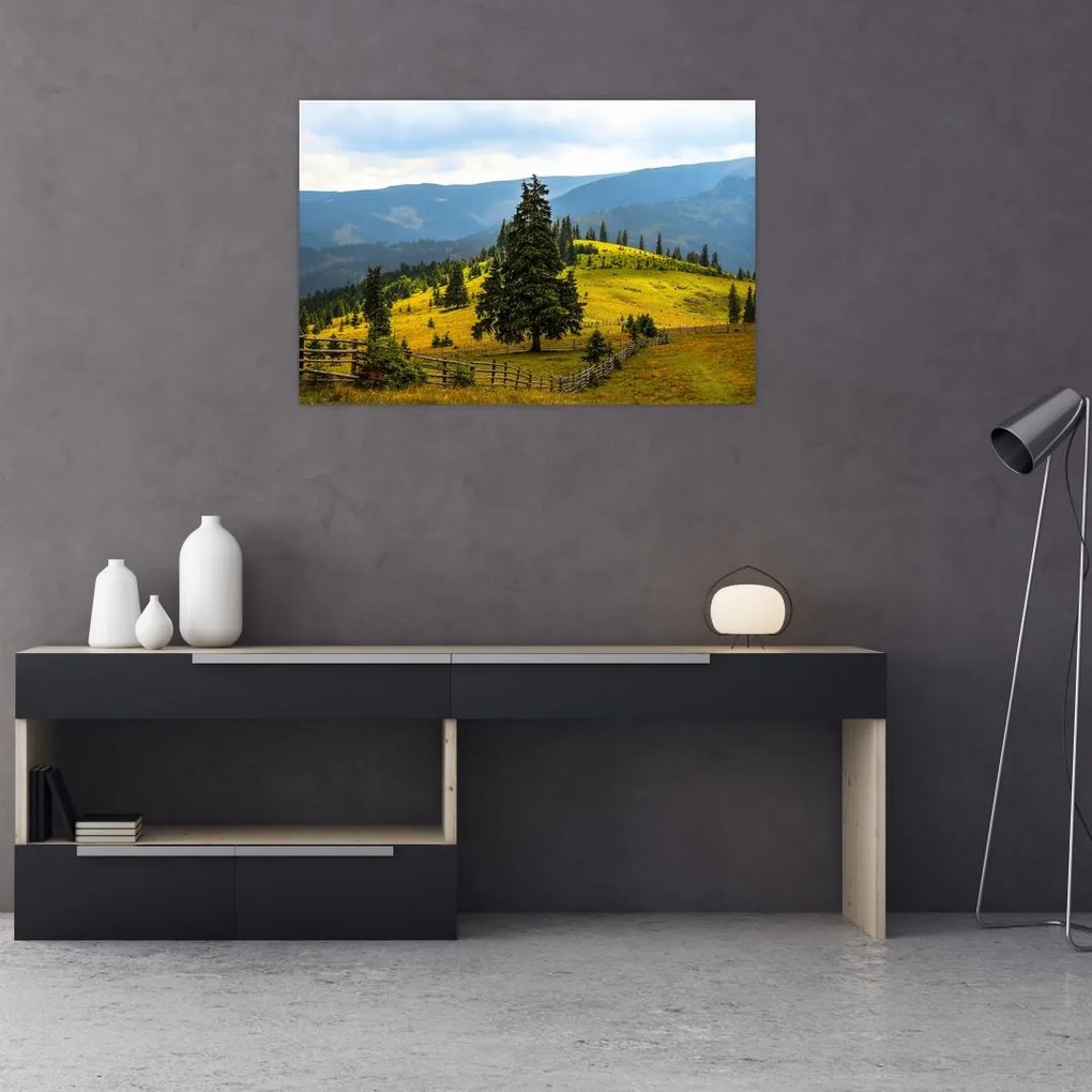 Tablou - Lunca de munte (90x60 cm)