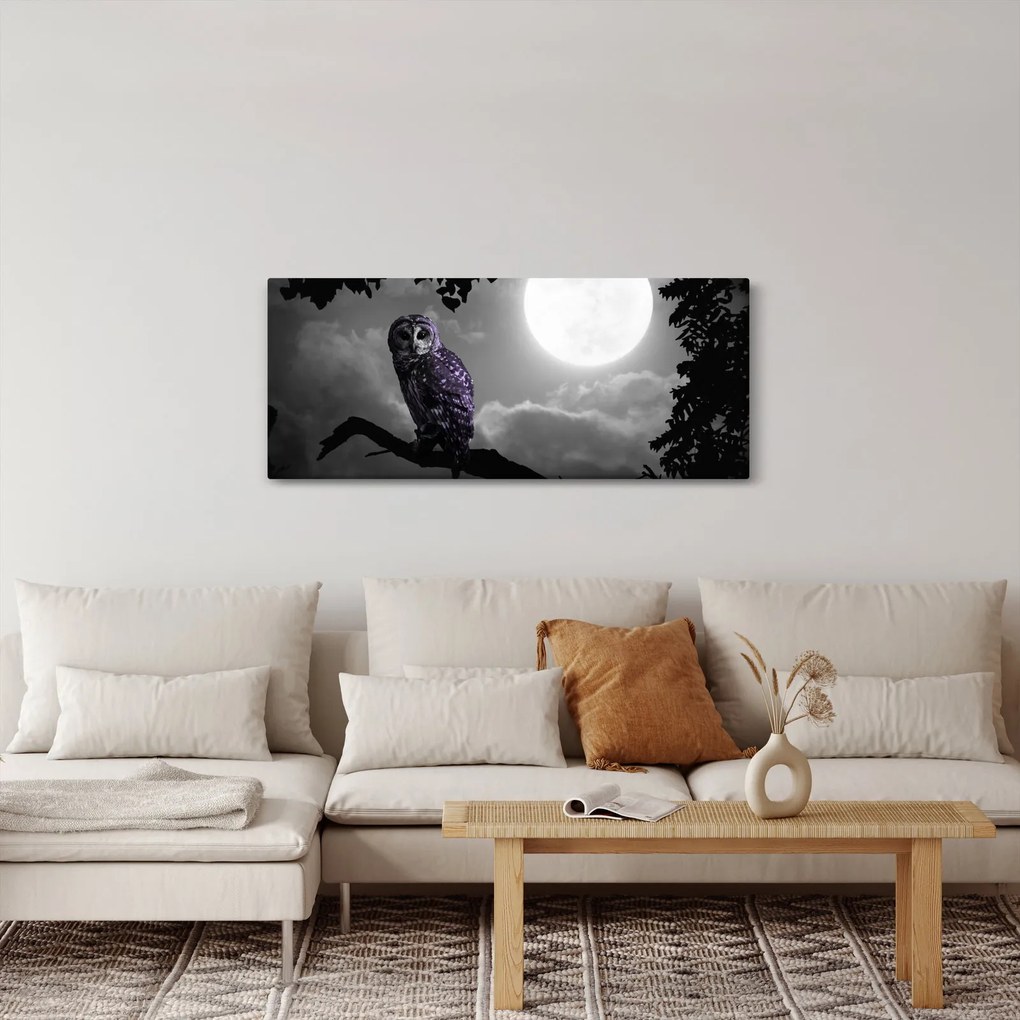 Tablou - Bufniță de noapte, bufniță mov (120x50 cm)