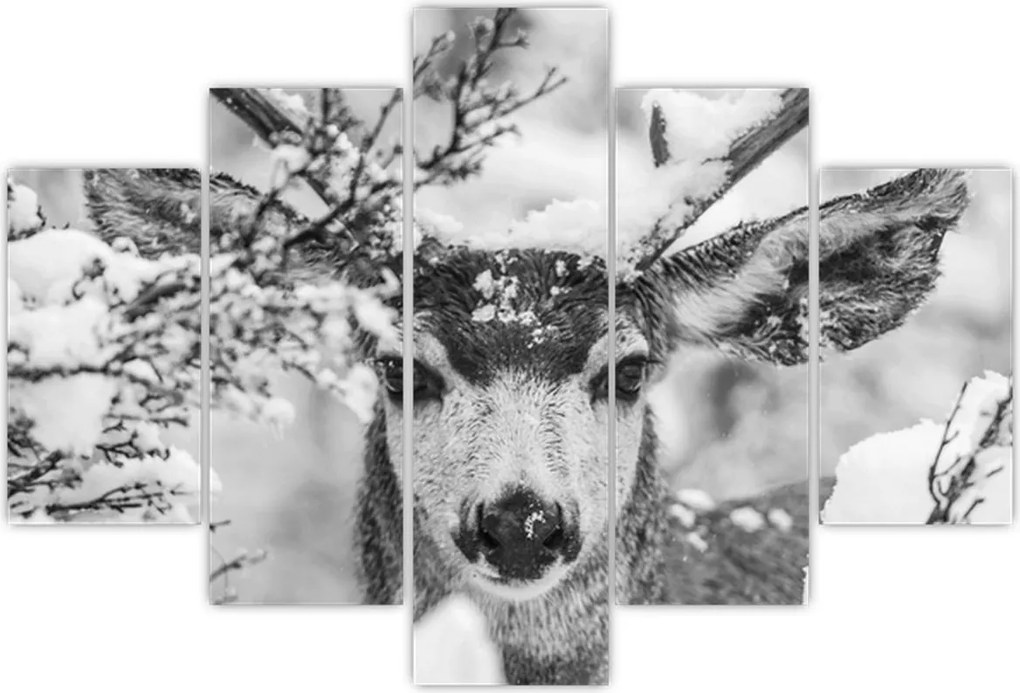 Tablou - Cerb în timpul iernii (150x105 cm)