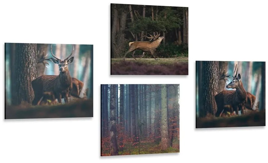 Set tablouri farmecul animalelor din pădure