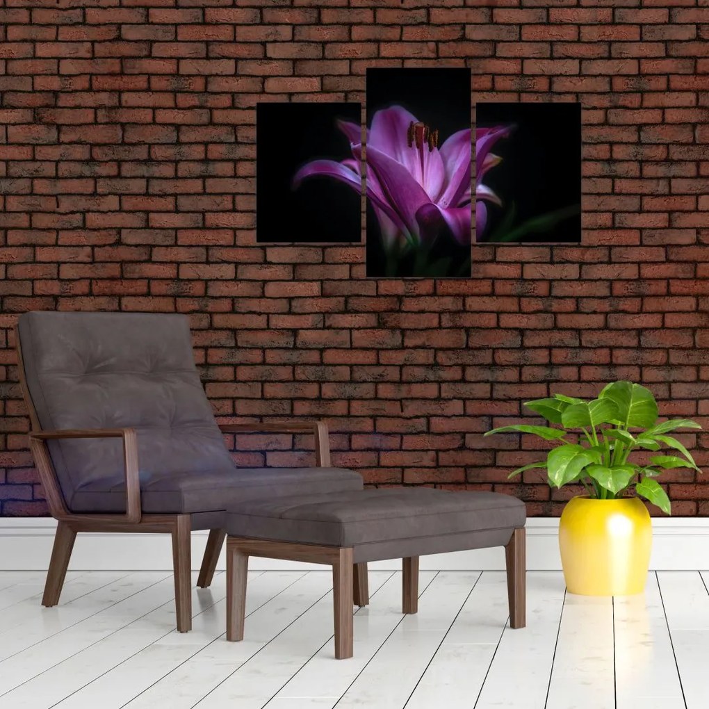Tablou crinul (90x60 cm)