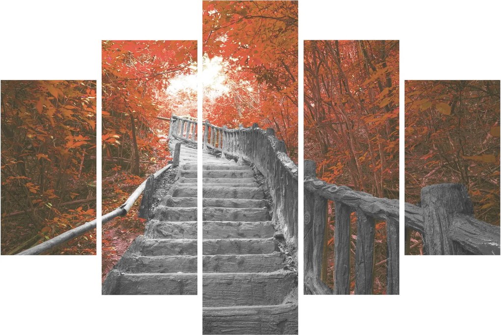Tablou - Scări în natură, portocaliu (150x105 cm)