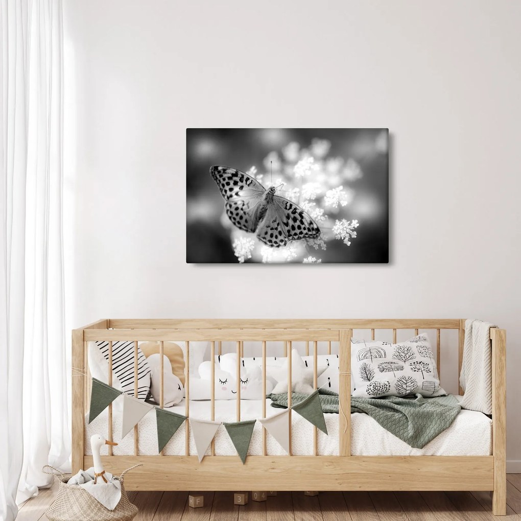 Tablou - Detailu cu fluture care polenizează floare (90x60 cm)